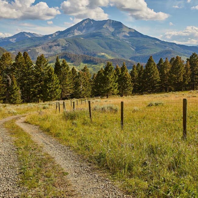 Using BLM Property