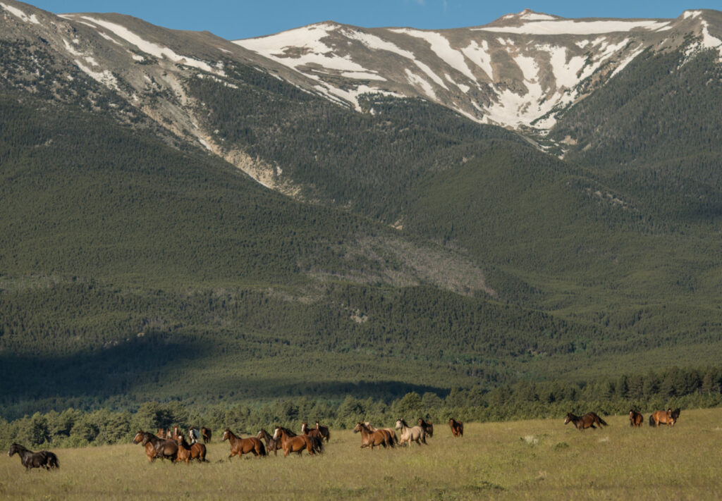 equestrian-montana-sacred-raven-ranch-1536x1066